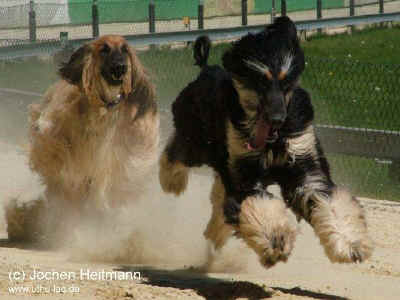 20070502_15.JPG (49289 Byte)