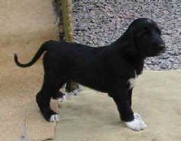 30-grad.JPG (15803 Byte)