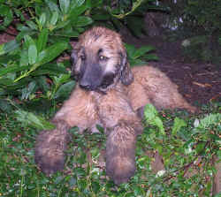 p1010032.JPG (122549 Byte)